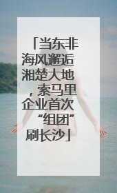当东非海风邂逅湘楚大地，索马里企业首次“组团”刷长沙