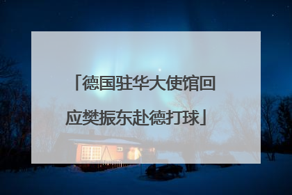 德国驻华大使馆回应樊振东赴德打球