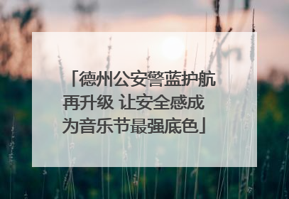 德州公安警蓝护航再升级 让安全感成为音乐节最强底色