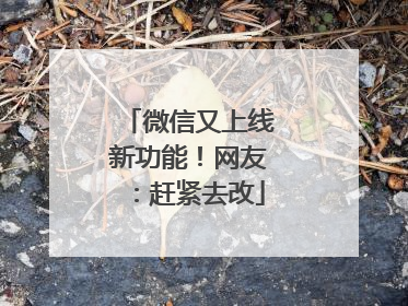 微信又上线新功能！网友：赶紧去改