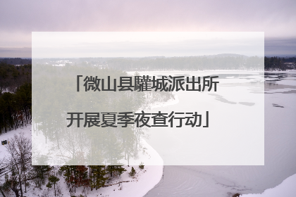 微山县驩城派出所开展夏季夜查行动