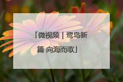 微视频｜鹭岛新篇 向海而歌