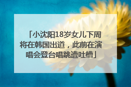 小沈阳18岁女儿下周将在韩国出道，此前在演唱会登台唱跳遭吐槽