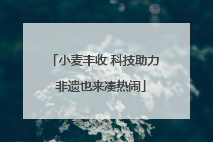 小麦丰收 科技助力 非遗也来凑热闹