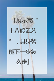 展示完“十八般武艺”，具身智能下一步怎么走