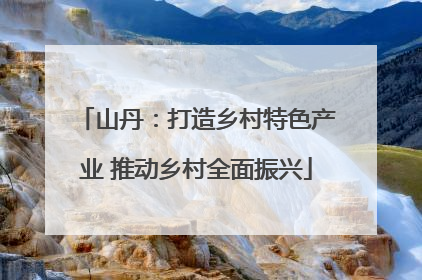 山丹：打造乡村特色产业 推动乡村全面振兴
