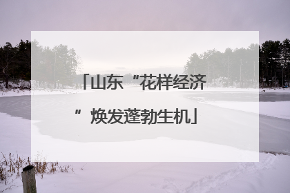 山东“花样经济”焕发蓬勃生机