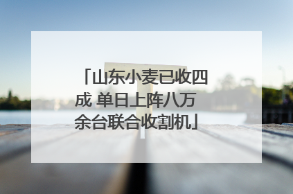山东小麦已收四成 单日上阵八万余台联合收割机