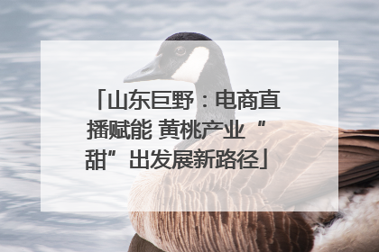 山东巨野：电商直播赋能 黄桃产业“甜”出发展新路径