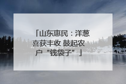 山东惠民：洋葱喜获丰收 鼓起农户“钱袋子”