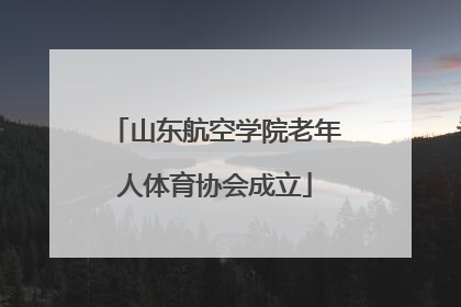 山东航空学院老年人体育协会成立