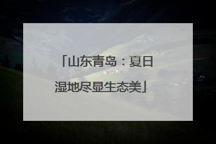 山东青岛：夏日湿地尽显生态美