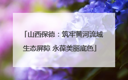 山西保德：筑牢黄河流域生态屏障 永葆美丽底色