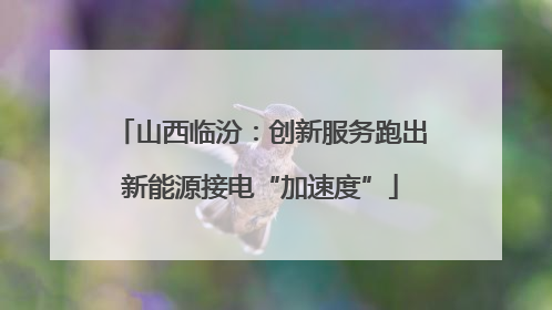 山西临汾：创新服务跑出新能源接电“加速度”