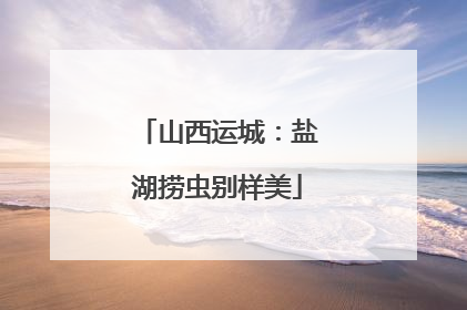 山西运城：盐湖捞虫别样美