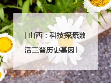 山西：科技探源激活三晋历史基因