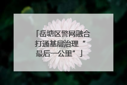 岳塘区警网融合 打通基层治理“最后一公里”