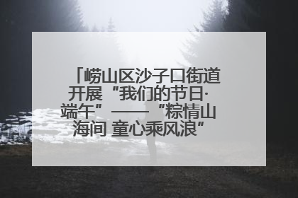 崂山区沙子口街道开展“我们的节日·端午”——“粽情山海间 童心乘风浪”文明实践活动