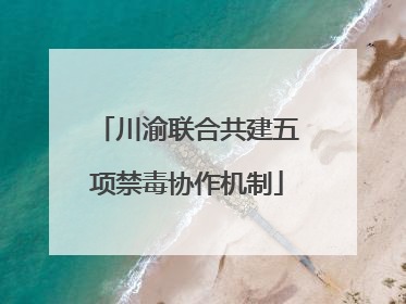川渝联合共建五项禁毒协作机制