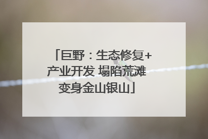 巨野：生态修复+产业开发 塌陷荒滩变身金山银山
