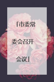 市委常委会召开会议