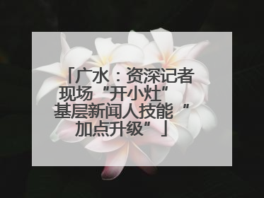 广水：资深记者现场“开小灶” 基层新闻人技能“加点升级”