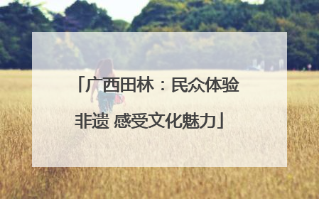 广西田林：民众体验非遗 感受文化魅力