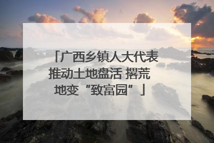 广西乡镇人大代表推动土地盘活 撂荒地变“致富园”