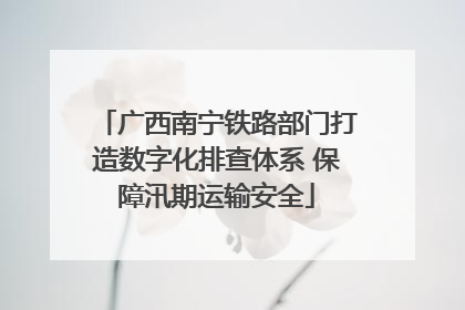 广西南宁铁路部门打造数字化排查体系 保障汛期运输安全