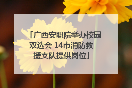 广西安职院举办校园双选会 14市消防救援支队提供岗位