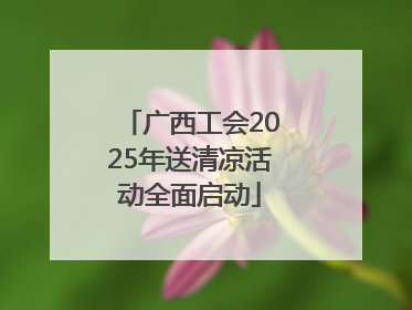 广西工会2025年送清凉活动全面启动
