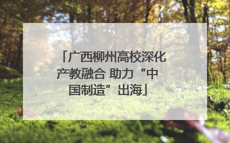 广西柳州高校深化产教融合 助力“中国制造”出海