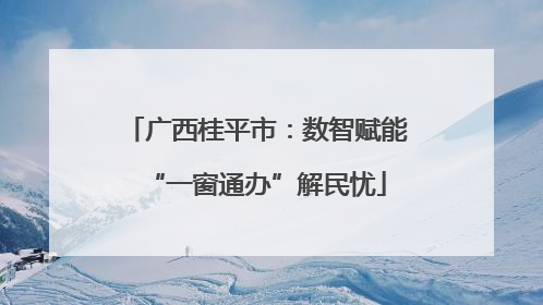 广西桂平市：数智赋能“一窗通办”解民忧