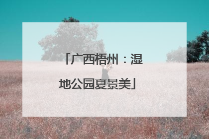 广西梧州：湿地公园夏景美