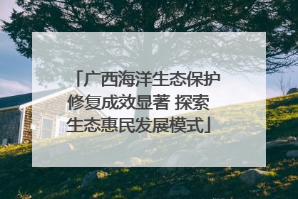 广西海洋生态保护修复成效显著 探索生态惠民发展模式