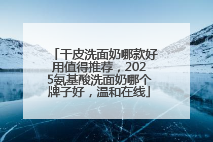 干皮洗面奶哪款好用值得推荐，2025氨基酸洗面奶哪个牌子好，温和在线