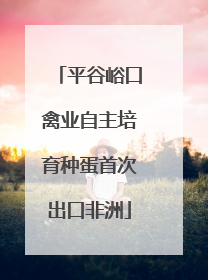 平谷峪口禽业自主培育种蛋首次出口非洲