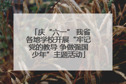 庆“六一” 我省各地学校开展“牢记党的教导 争做强国少年”主题活动