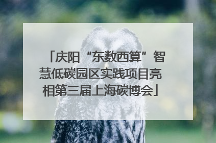 庆阳“东数西算”智慧低碳园区实践项目亮相第三届上海碳博会