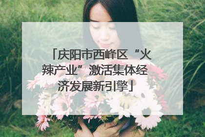 庆阳市西峰区“火辣产业”激活集体经济发展新引擎