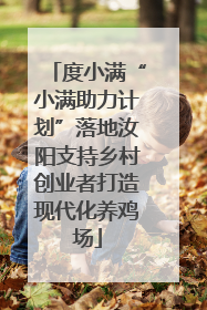 度小满“小满助力计划”落地汝阳支持乡村创业者打造现代化养鸡场