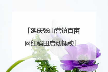 延庆张山营镇百亩网红稻田启动插秧