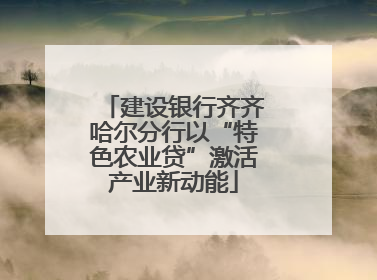 建设银行齐齐哈尔分行以“特色农业贷”激活产业新动能