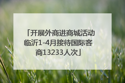 开展外商进商城活动 临沂1-4月接待国际客商13233人次
