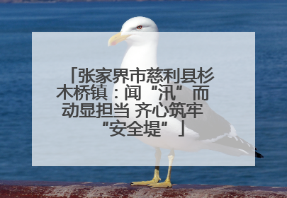 张家界市慈利县杉木桥镇：闻“汛”而动显担当 齐心筑牢“安全堤”