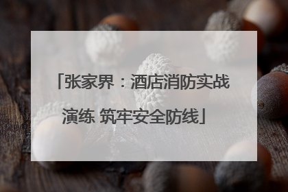 张家界：酒店消防实战演练 筑牢安全防线
