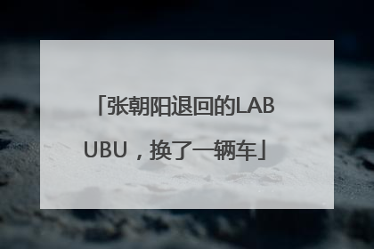 张朝阳退回的LABUBU，换了一辆车