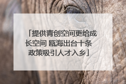 提供青创空间更给成长空间 瓯海出台十条政策吸引人才入乡