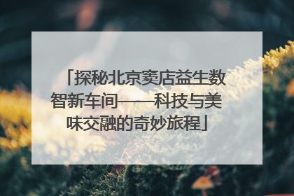 探秘北京窦店益生数智新车间——科技与美味交融的奇妙旅程