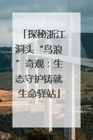探秘浙江洞头“鸟浪”奇观：生态守护铸就生命驿站
